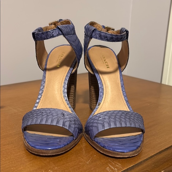 Coach Blue Heels with Peep-Toe Design - Picture 1 of 3